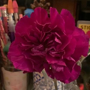 Meet your Posher, Dylan